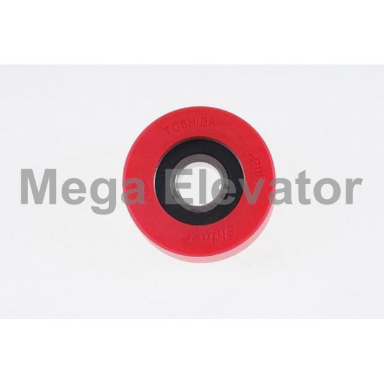 Roller-01 Φ70x25 6204