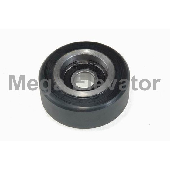 Roller-60 Φ76.2x32 6203
