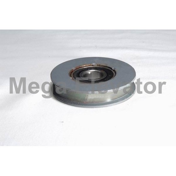 Roller-66 Φ65x13 6202