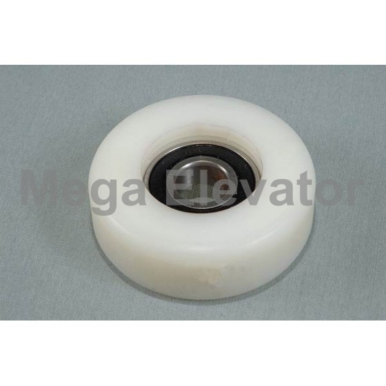 Roller-100 Φ88x30 6204